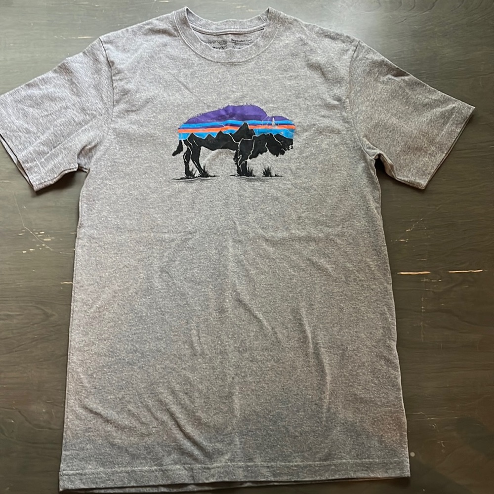 Patagonia Reesponsibili-tee
